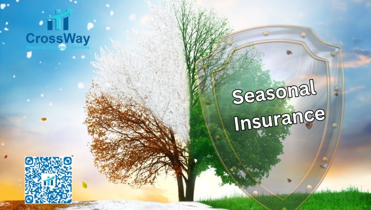 2_large The Essential Guide to Seasonal Insurance