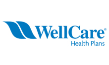 wellcare Health Insurance